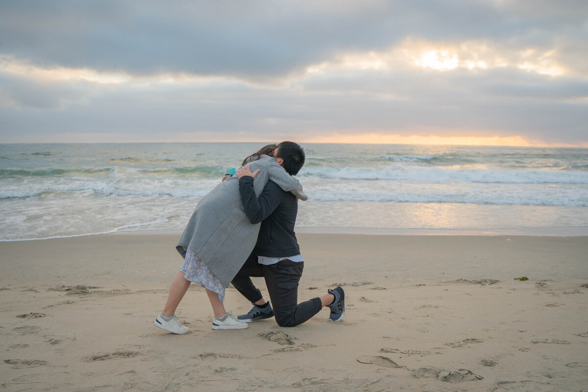Coronado Beach Proposal