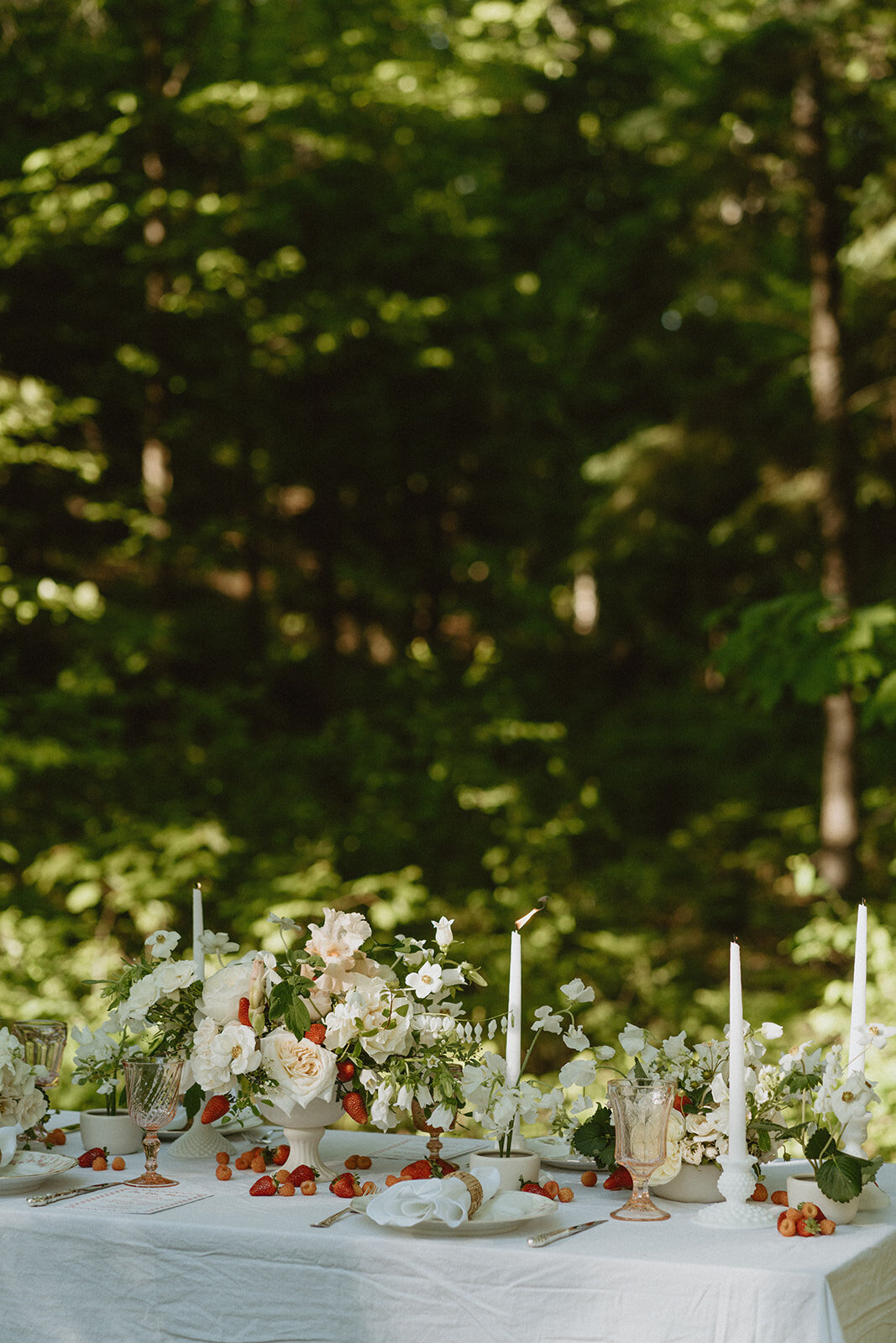 Danielle-Aisling_Strawberry_Fields_Elopement_Ottawa-11