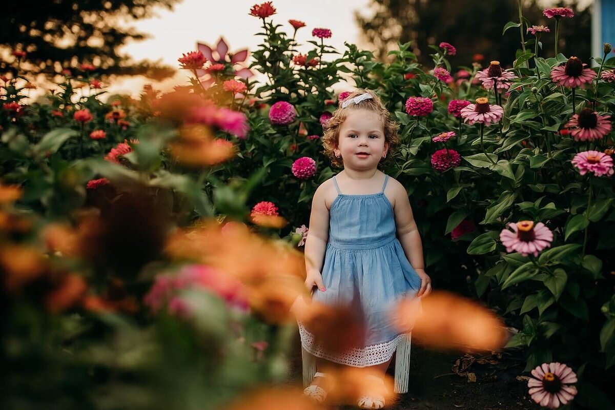 Family photography session of little girl sitting in field of flowers in Bloomington/Normal, IL