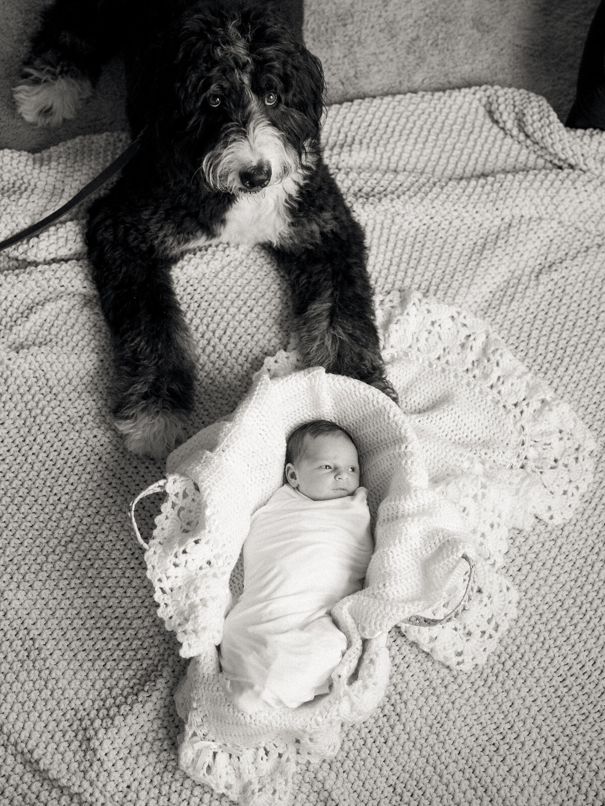 Anastasia Strate Photography Braund Newborn-109