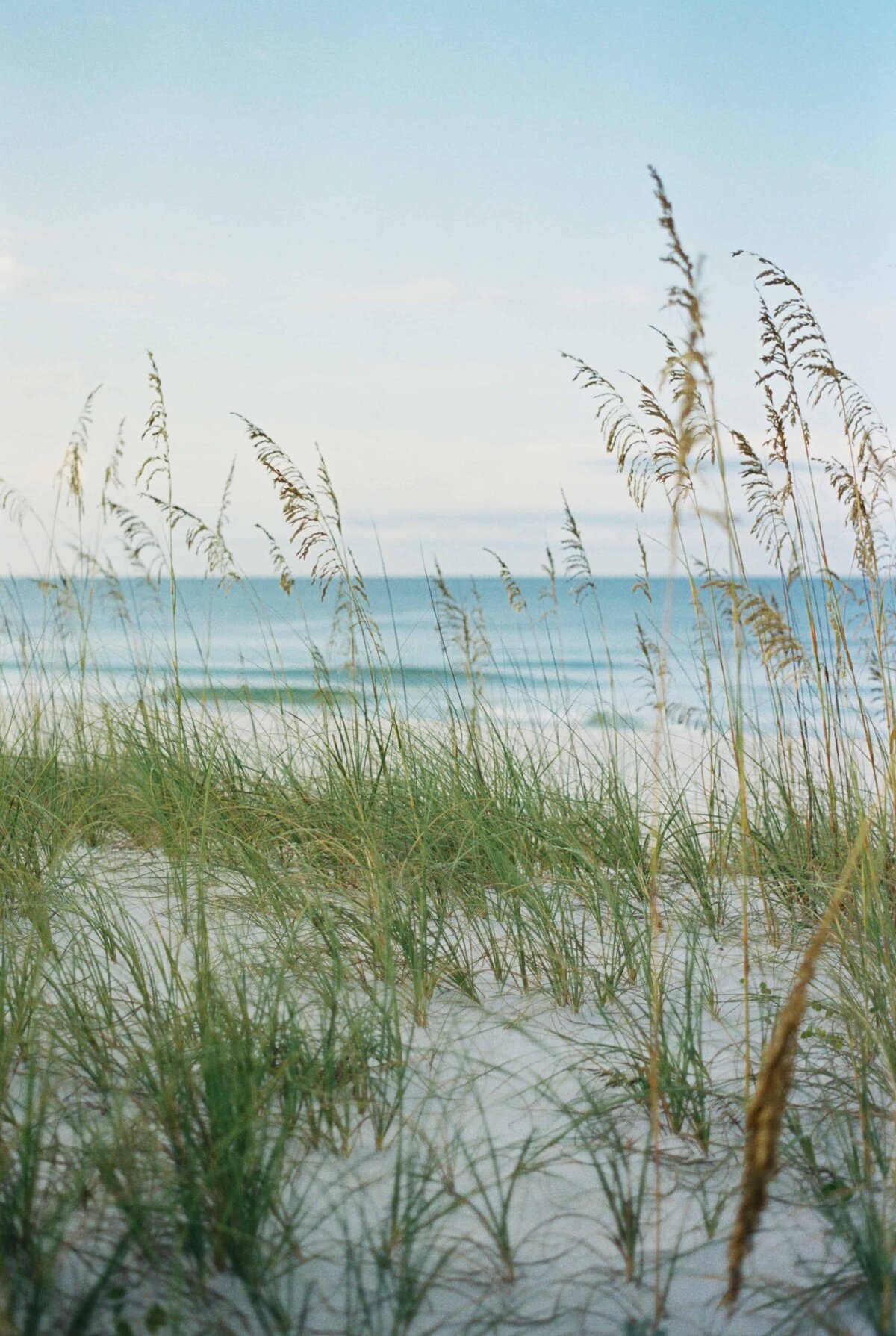 30a_Family_Photographer--6