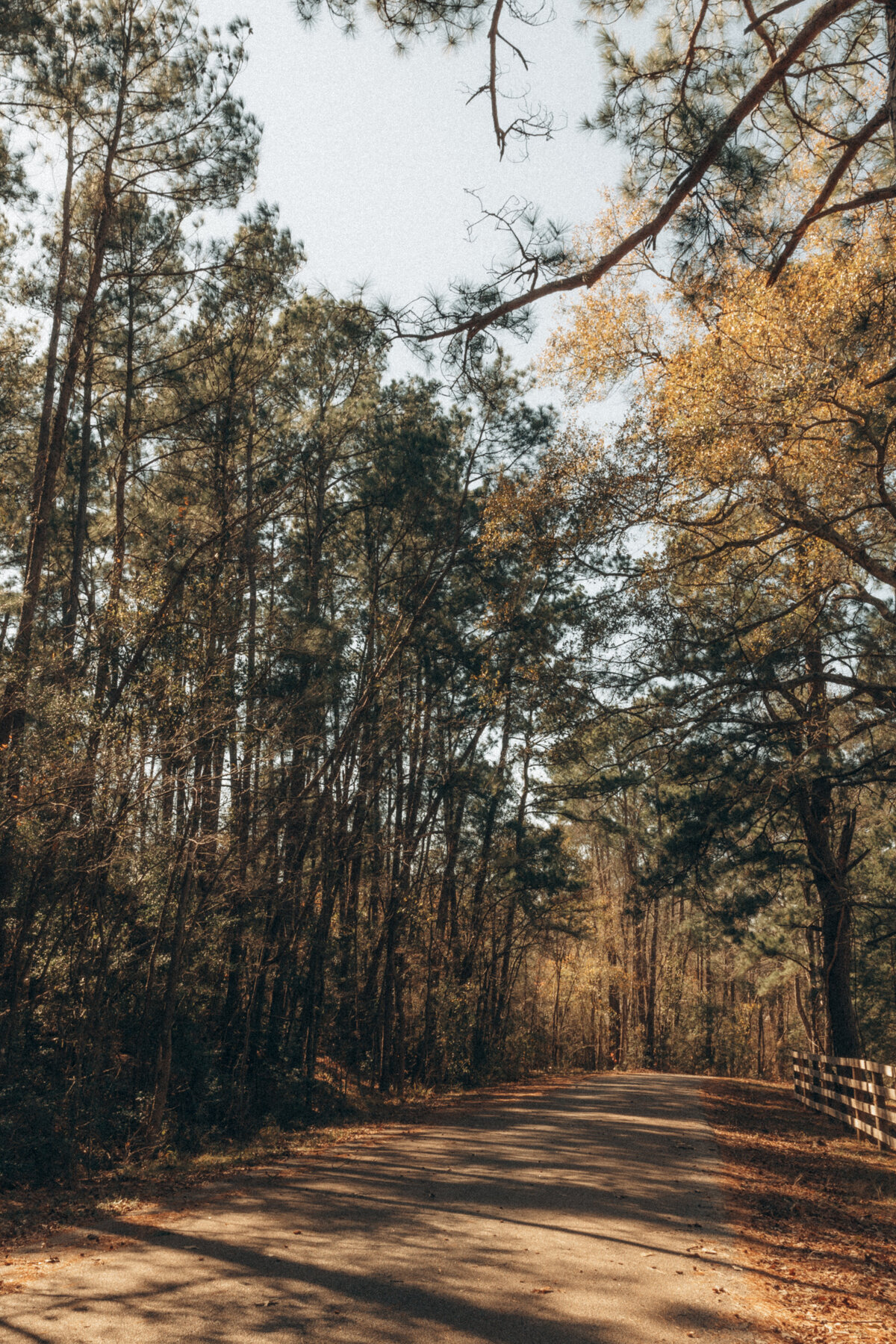 TippeltWedding-PaytonHartsellPhotography-1