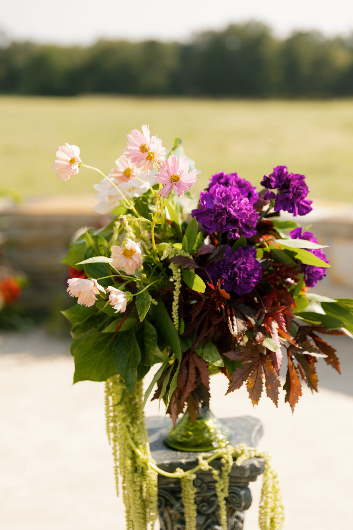 A lush outdoor wedding floral arrangement displayed on a decorative stone pedestal at a countryside Arkansas wedding venue. The arrangement features pastel pink cosmos, deep purple carnations, mauve roses, burgundy foliage, and trailing green amaranthus, with soft sunlight illuminating the flowers against a blurred backdrop of open fields and distant trees. Styled as part of a romantic ceremony design with vibrant, garden-inspired blooms.