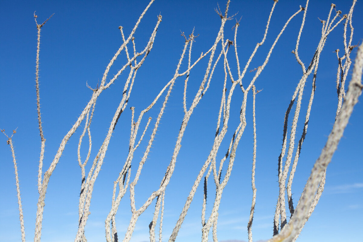 Salton-sea-abandoned-05-1