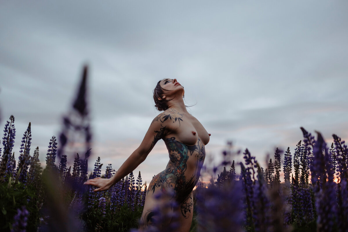 carolyn-lupines-237