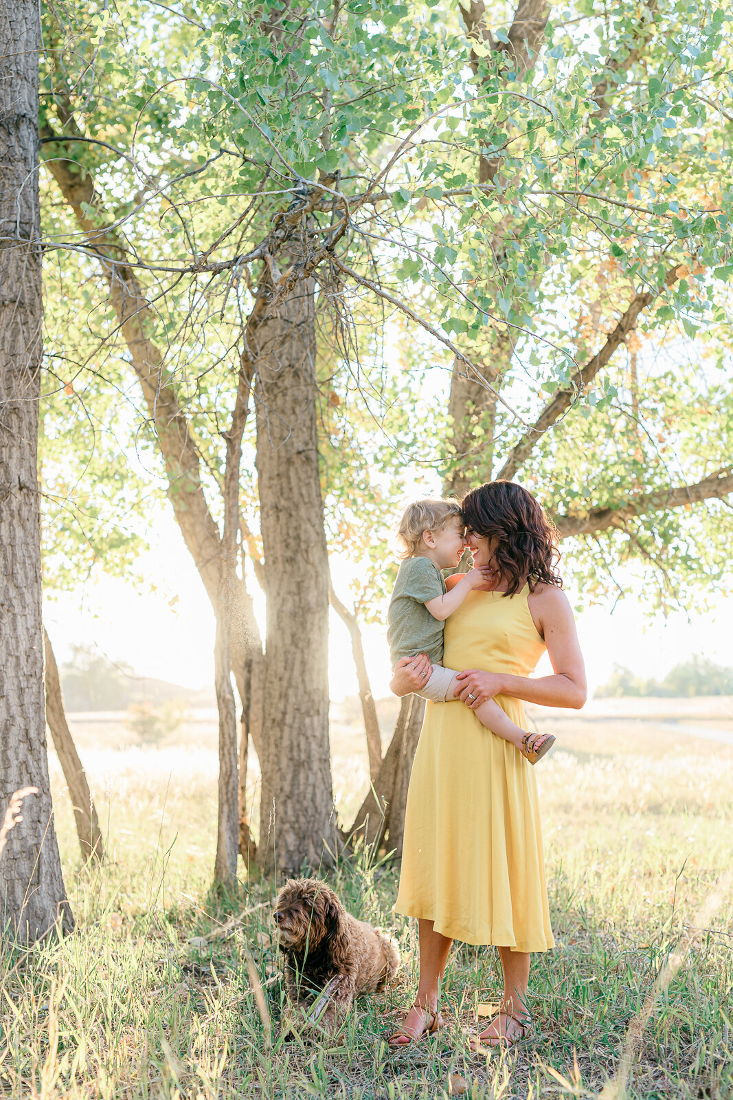 Sunset-Family-photos-Colorado