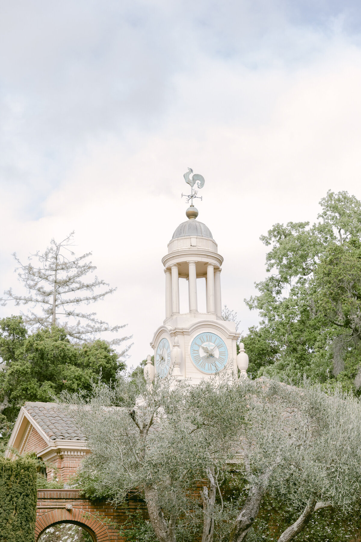 PERRUCCIPHOTO_FILOLI_SPRING_ENGAGEMENT_135