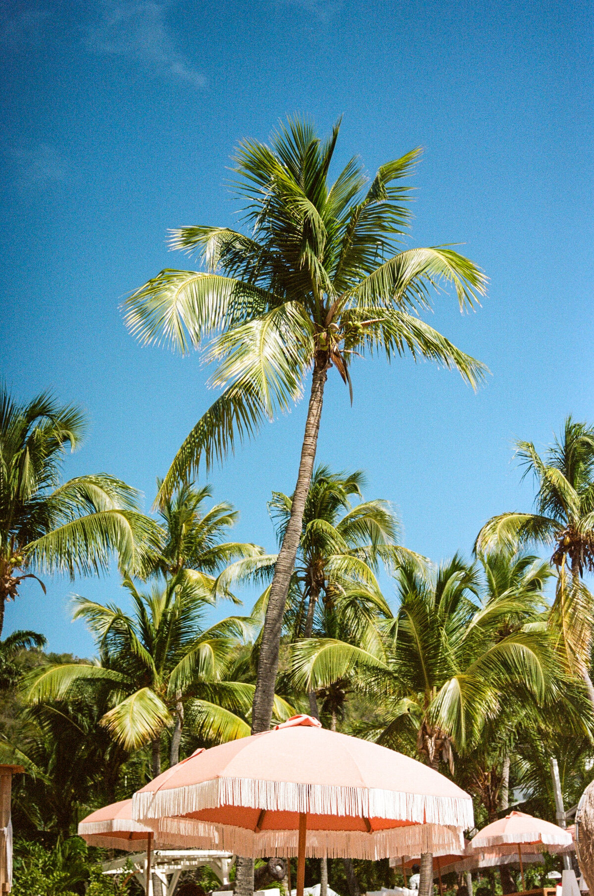 R0006_F016