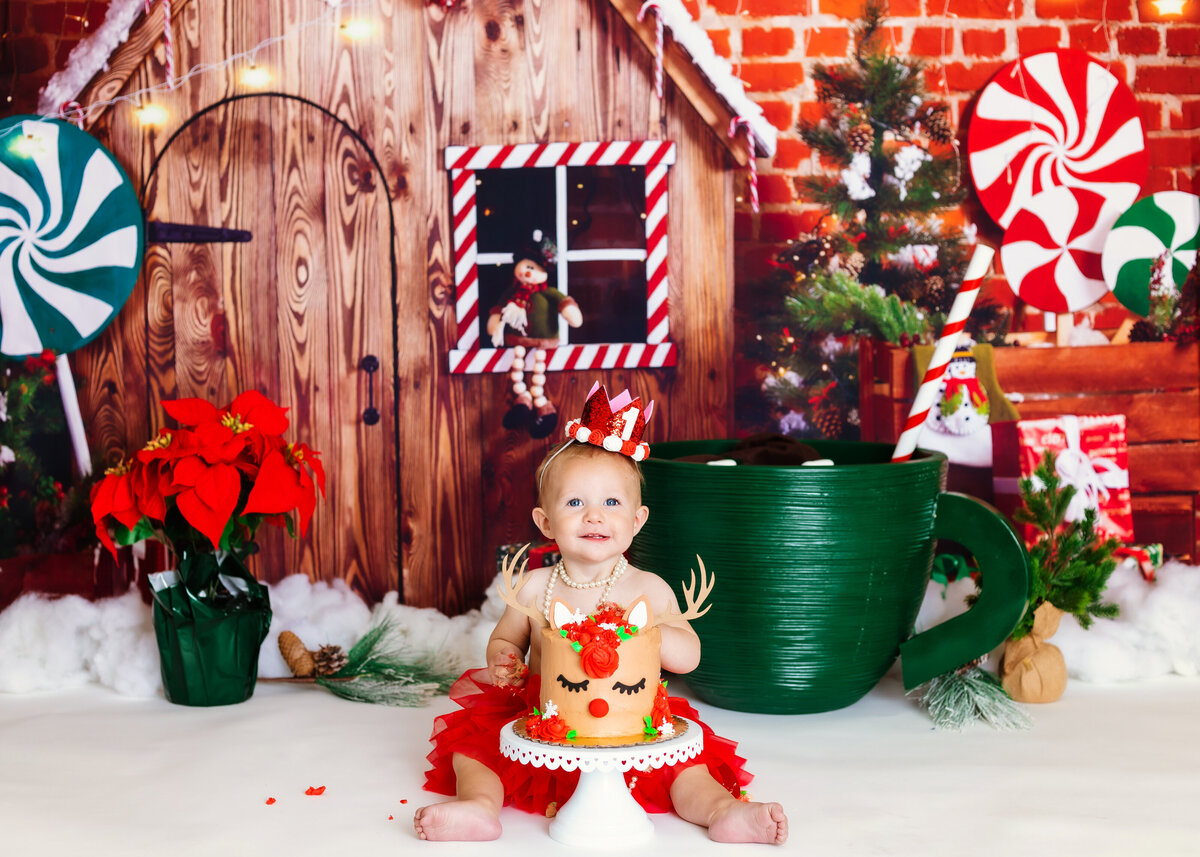 Cake Smash Photographer, a baby girl sits before a reindeer themed cake and a gingerbread house