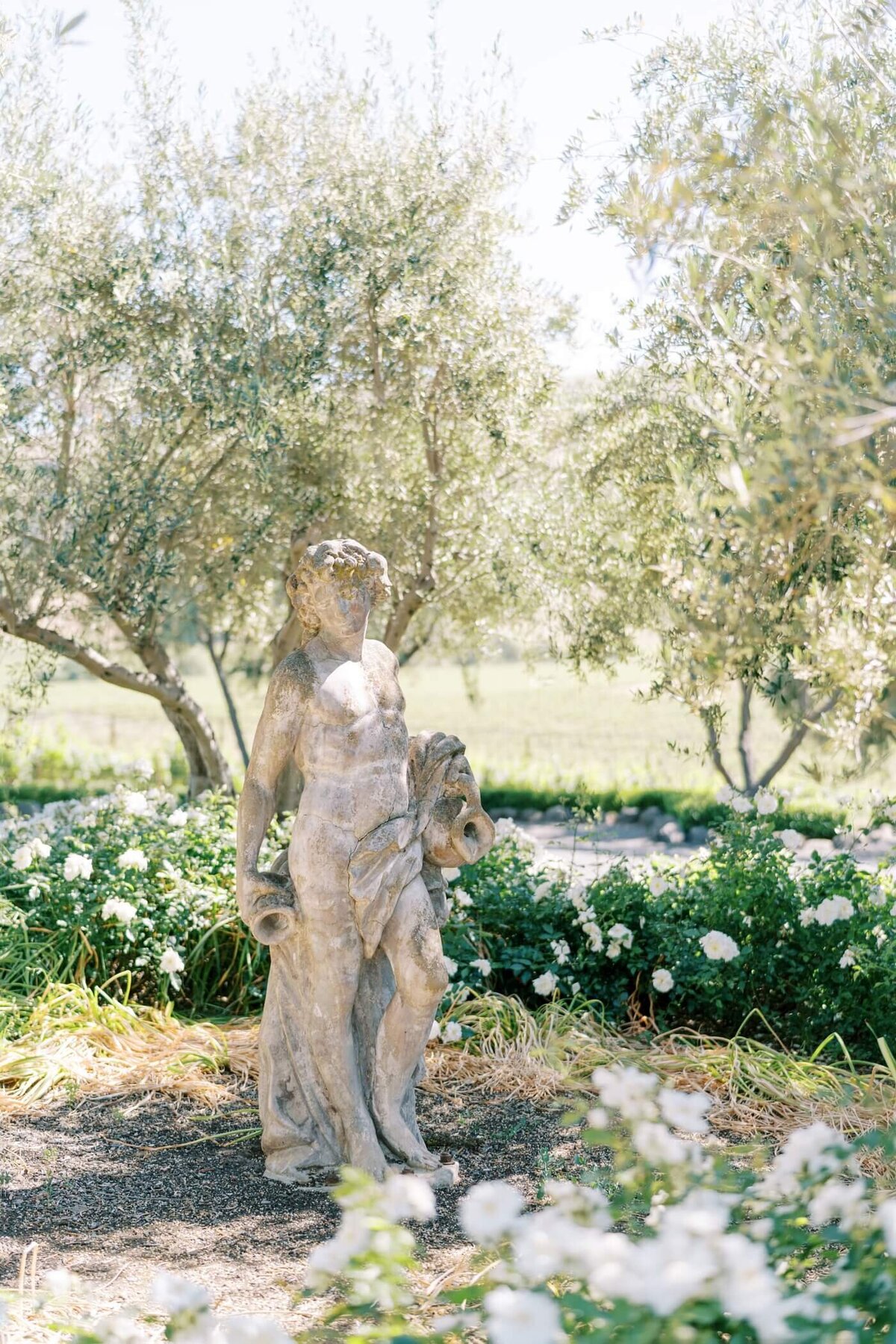 viansa winery sonoma california_0027