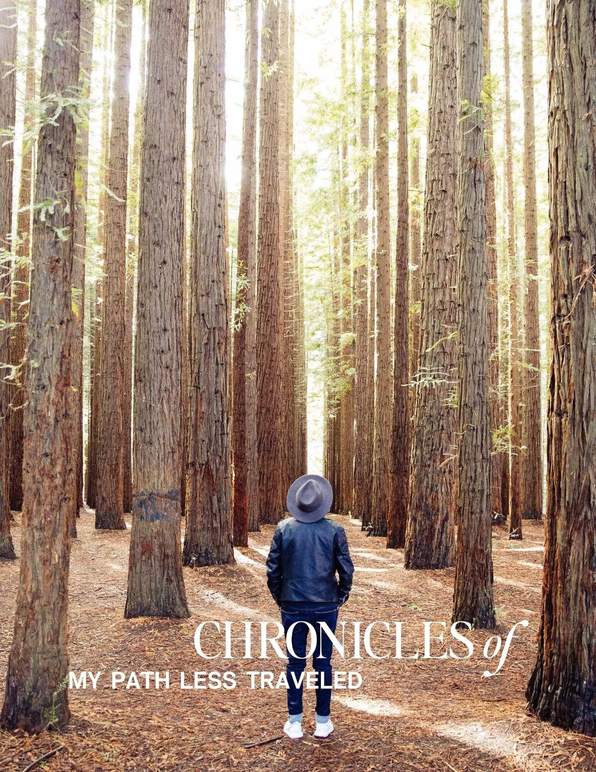 Chronicles of My Path Less Traveled