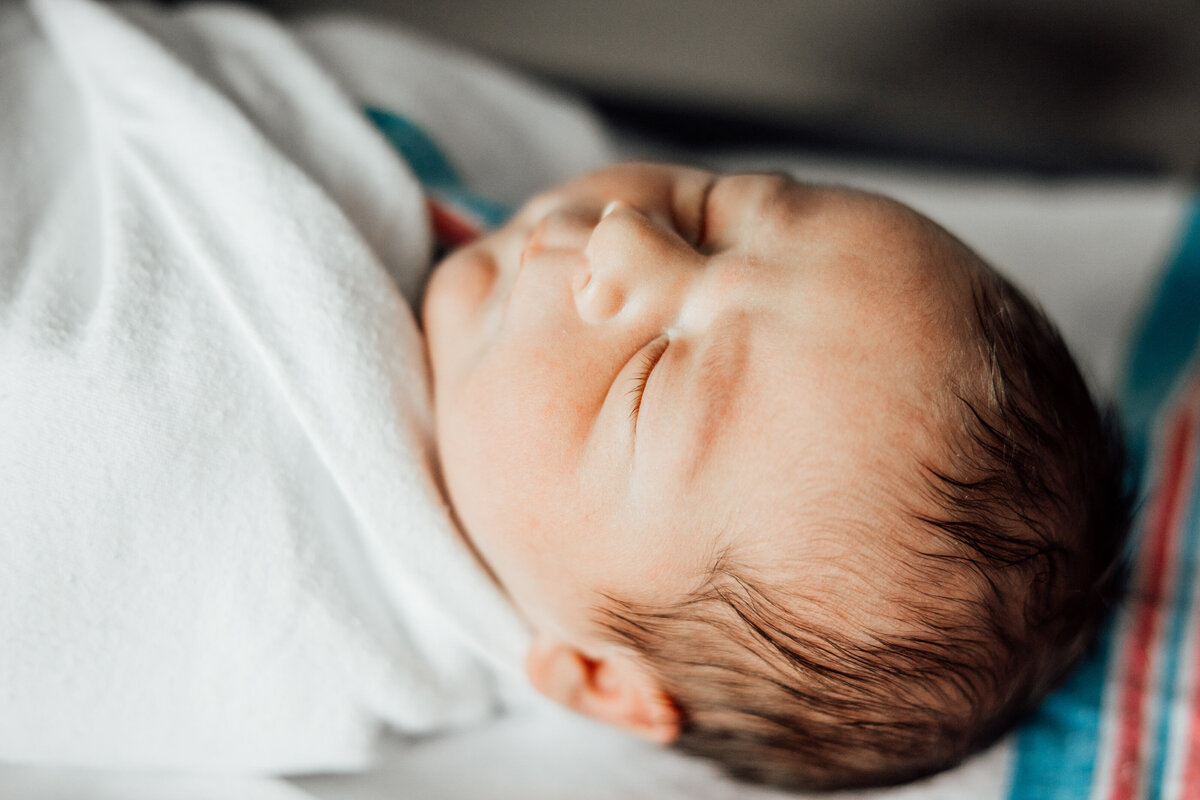 fresh 48 baby photography huntsville