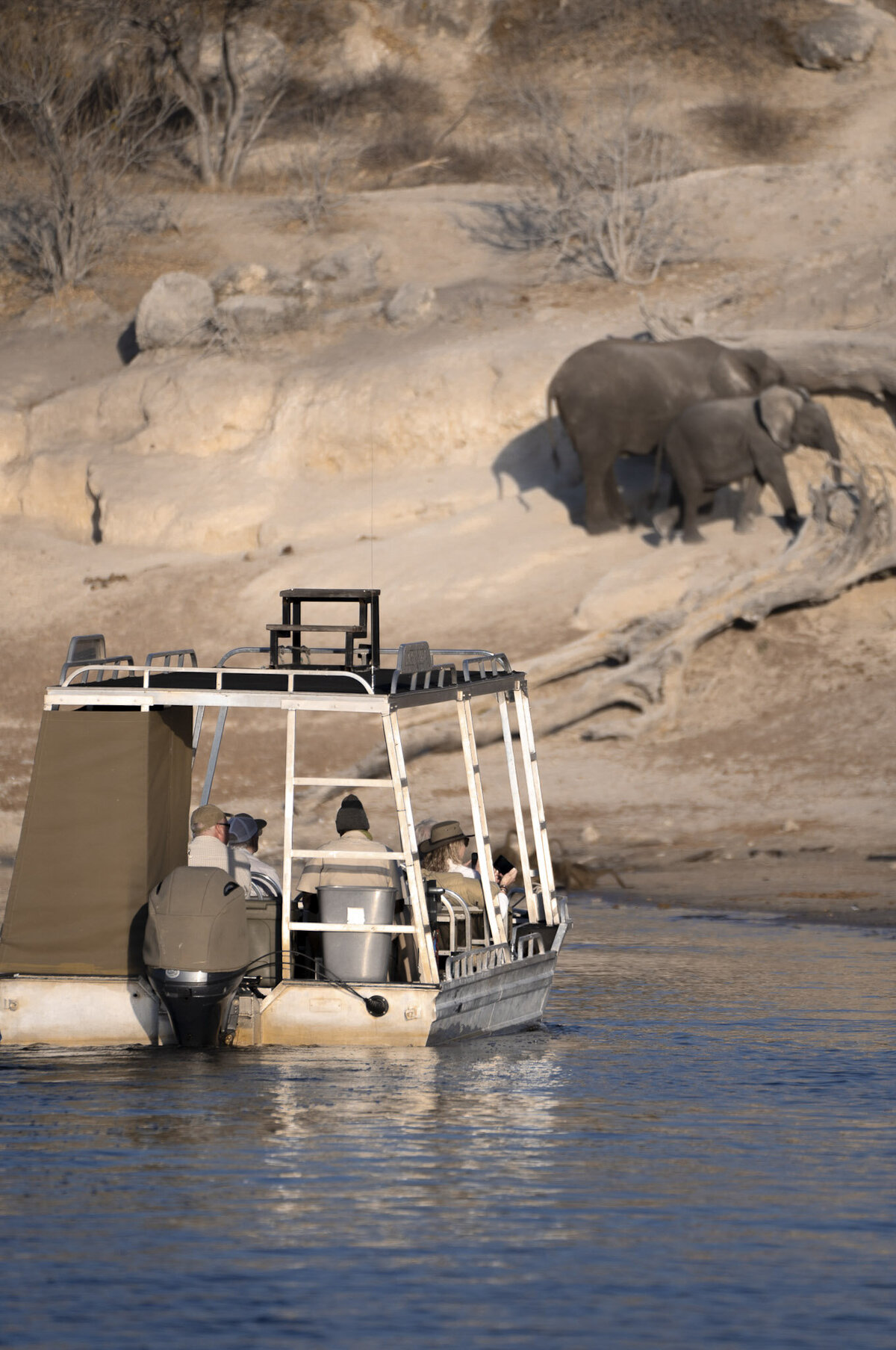 Chobe National Park Chobe River Cruise with Elephants at Watering Hole_By Stephanie Vermillion