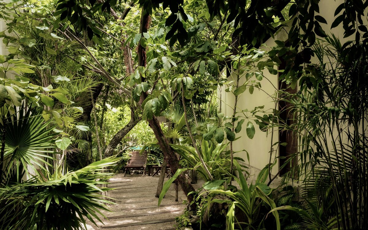 Palms Real Estate Group - Jungle Keva Tulum50