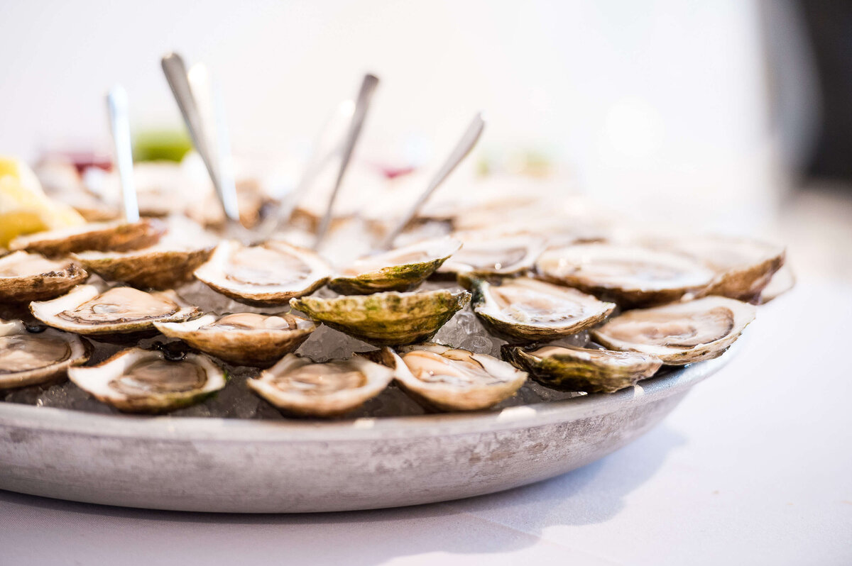 Ottawa-Event-Photographer-109-Revelle-2522