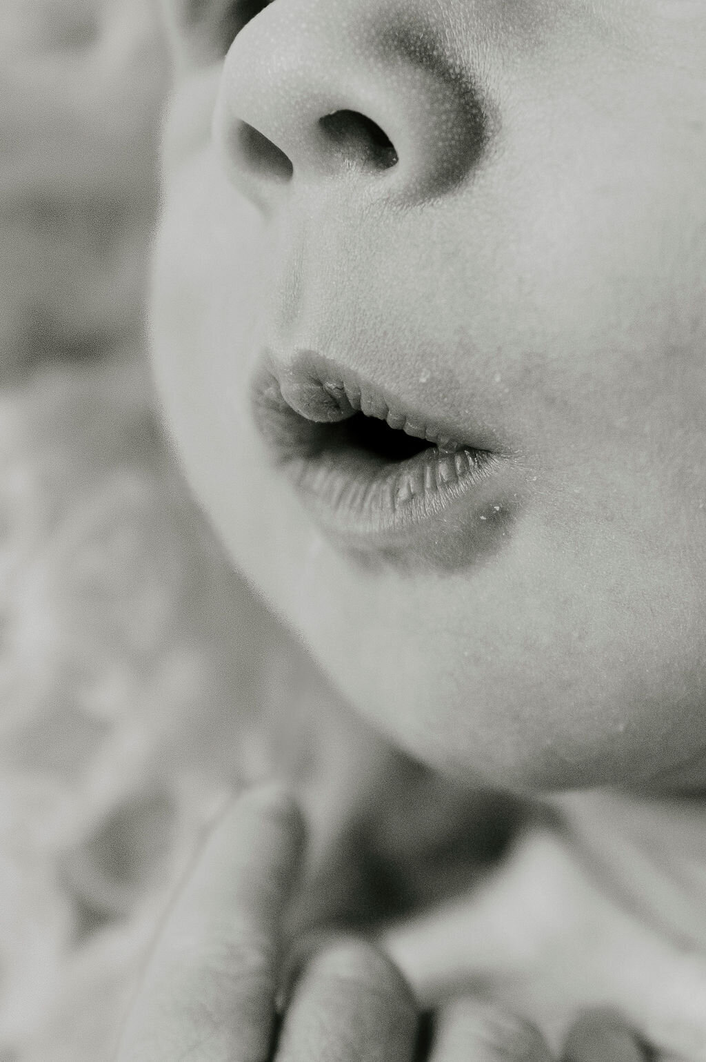 CWL_1387-3