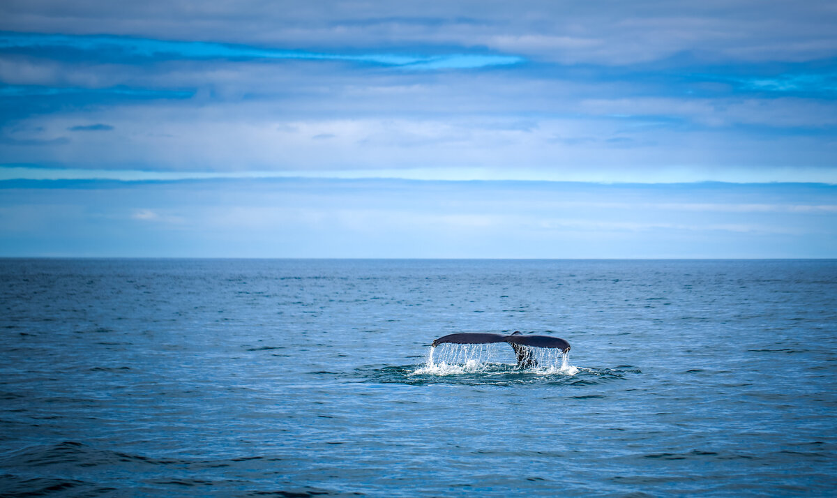 Savannah-photographer-traveler-iceland-12