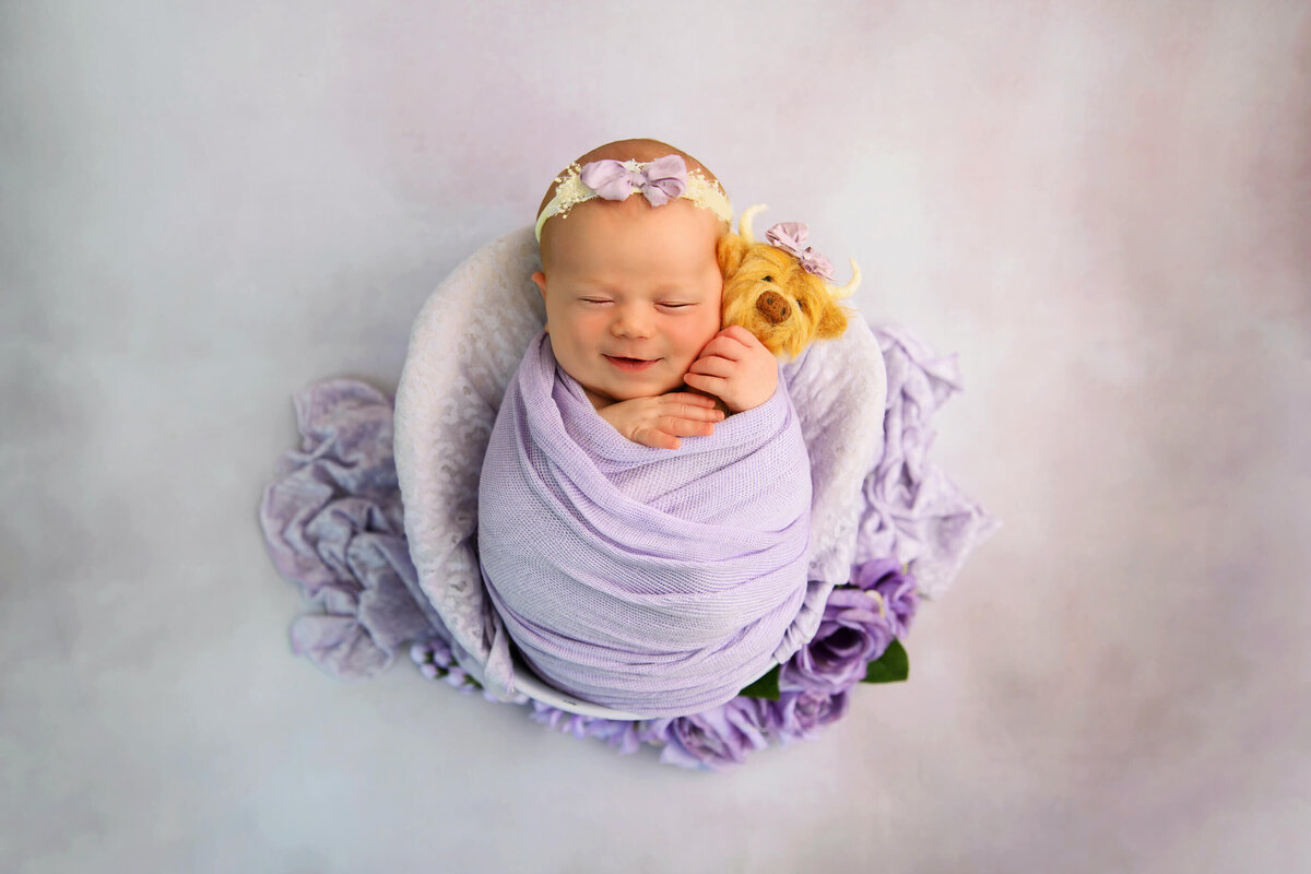 newborn girl wrapped in purple holding a little highland cow in a purple bucket for her Burlington, Ontario newborn photography session.