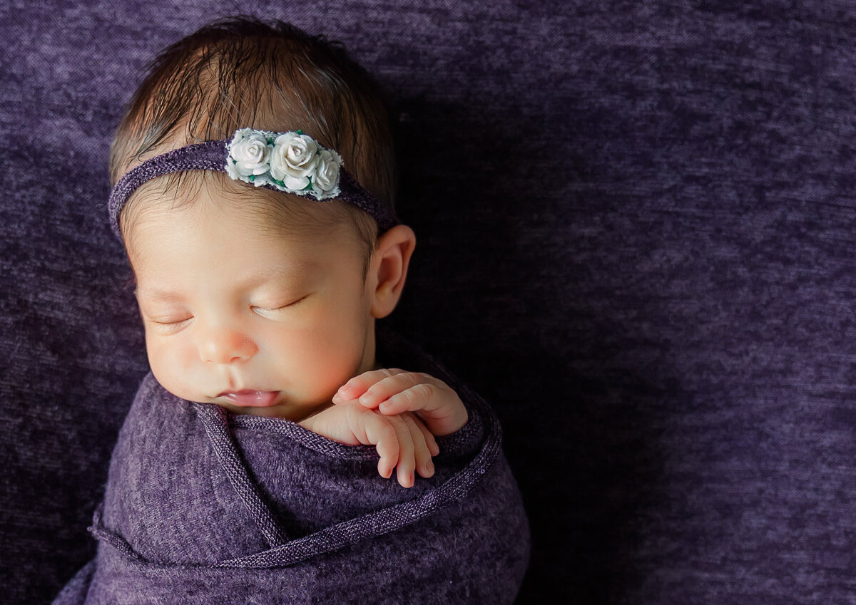 Tampa-Florida-newborn-photographer-purple-3