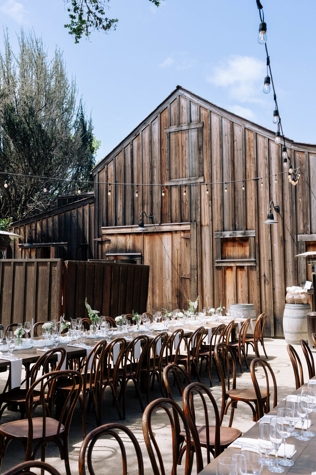 Matt_Kellen_wedding_monterey_April_2025__danipadgettphoto134218