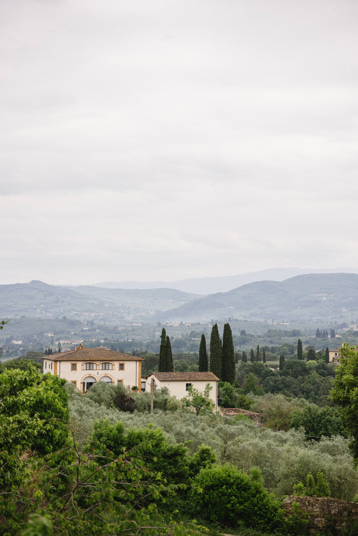 LizSchneiderPhoto-3067