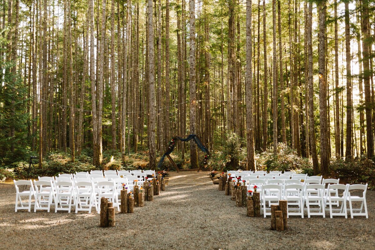 tacoma wedding photographer158