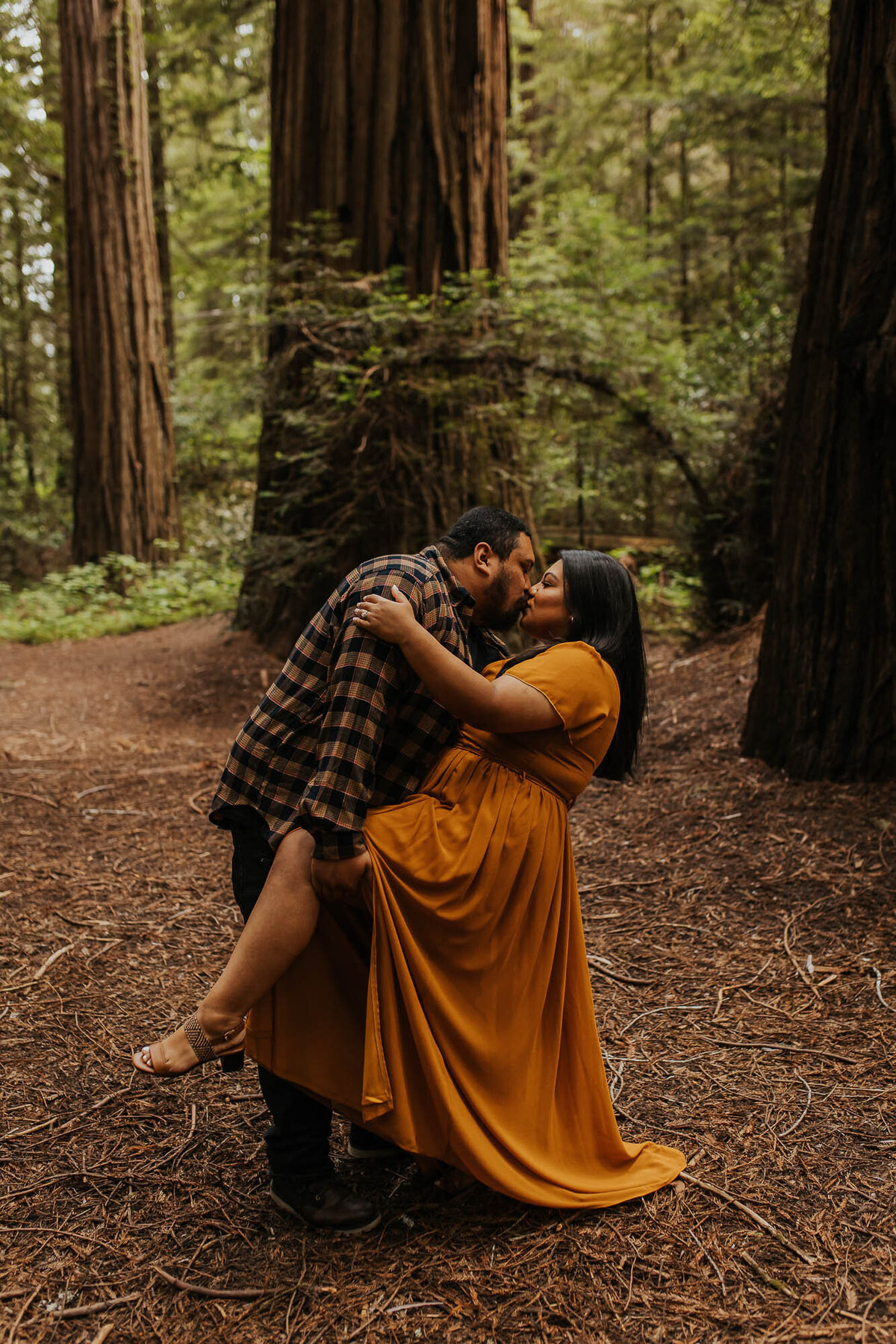 humboldt redwoods state park