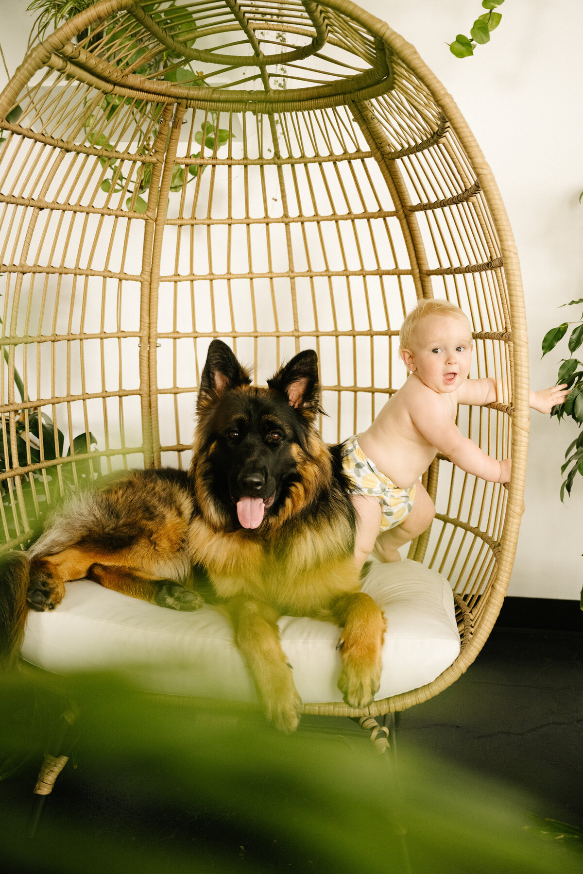 Lake-9-Months-Studio-Monkey-1945