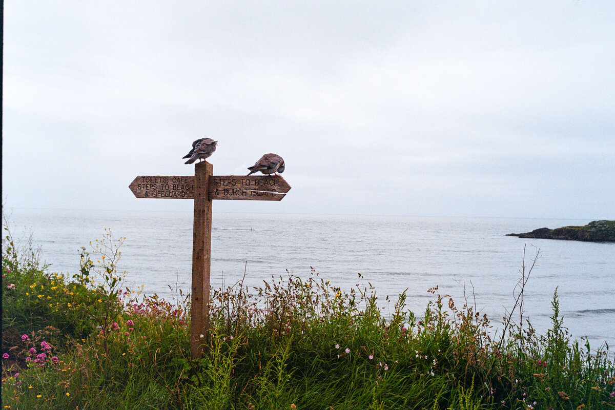 Cornish coastline on 35mm film