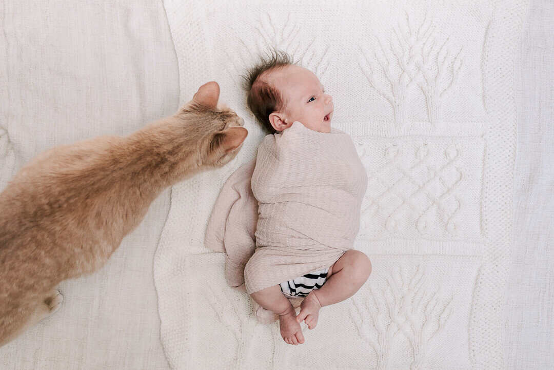DVP-Northern-VA-Newborn-Photographer-Eis-115