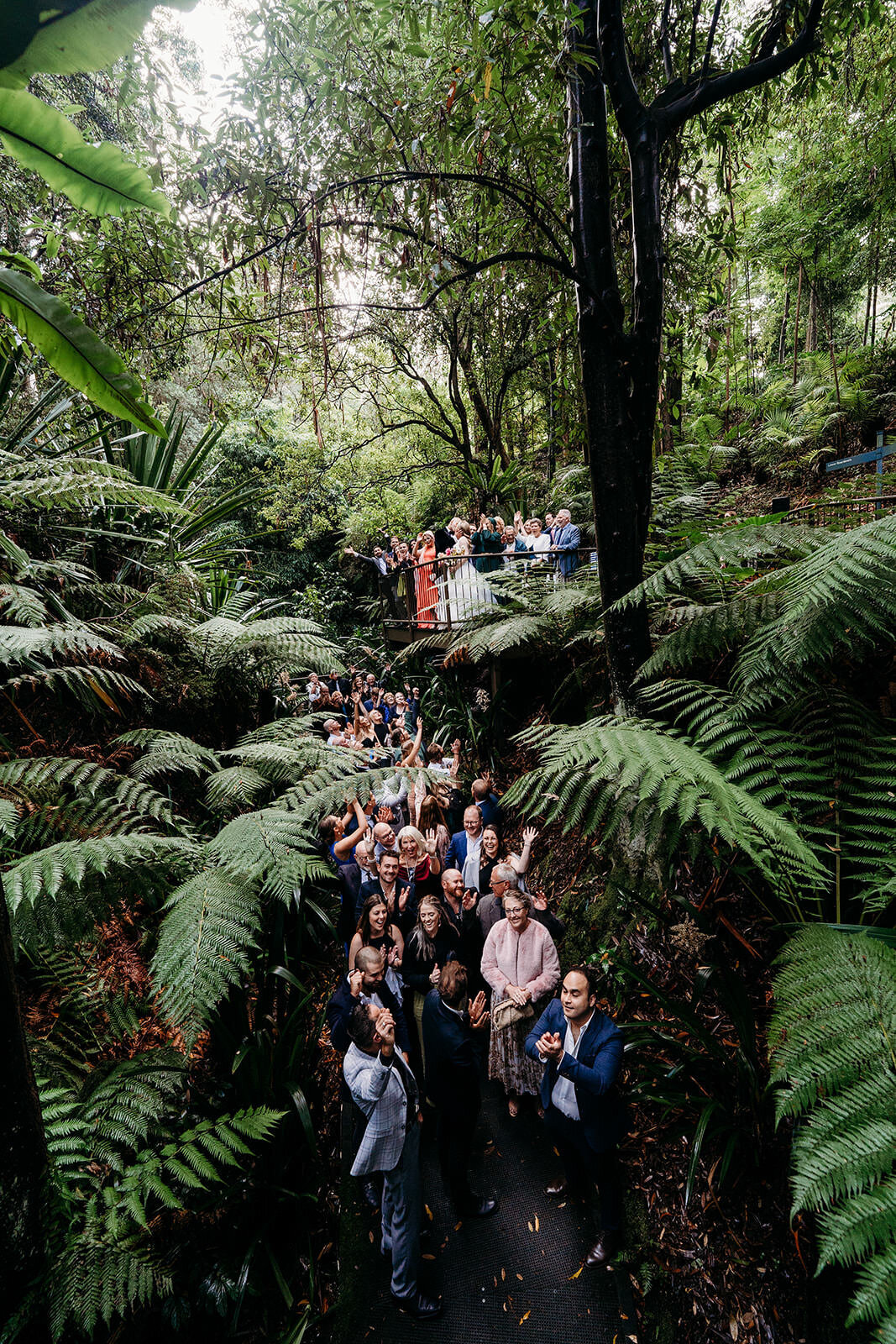 Margan_Photography_Australian_National_Botanic_Gardens-94