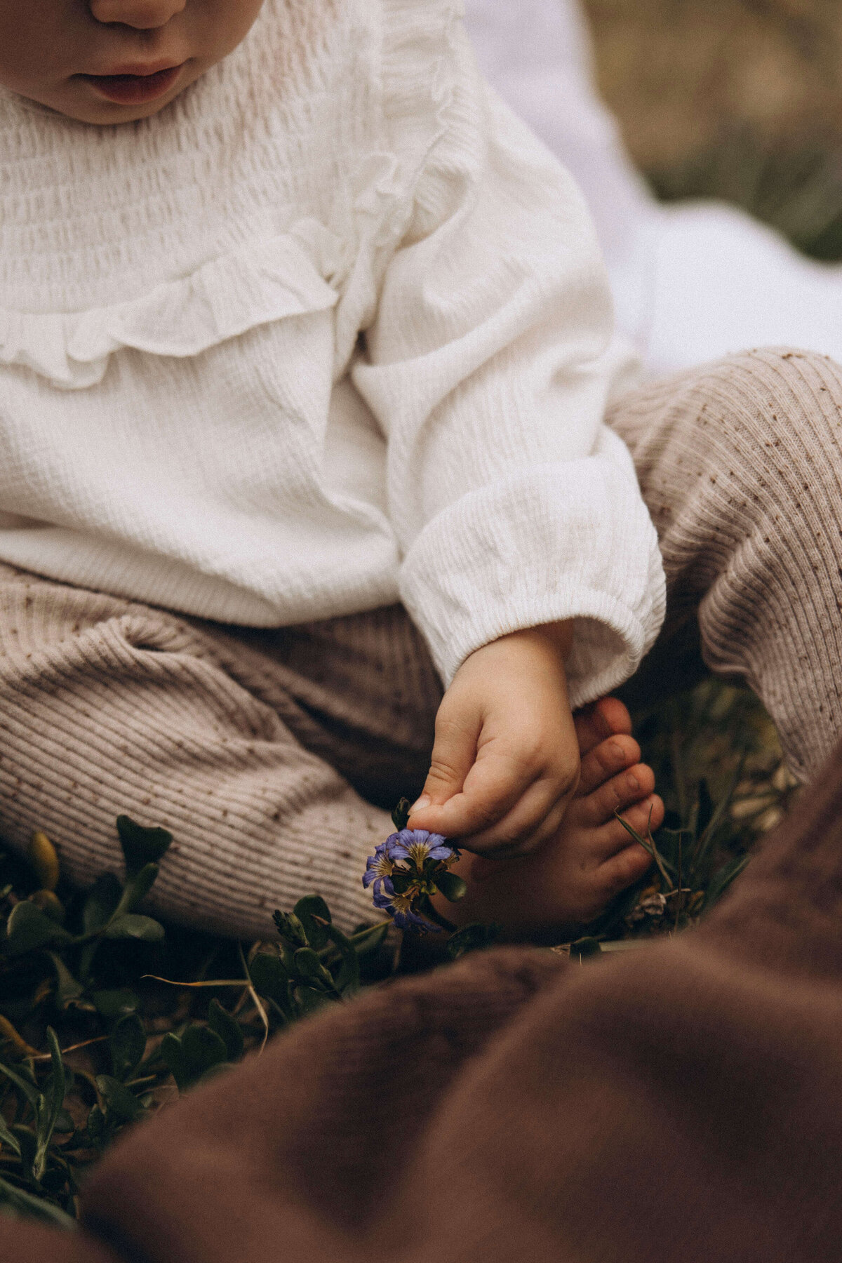 toddler picking a purple flower