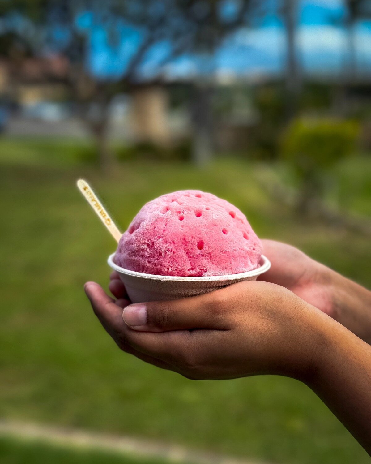 Ululani's Hawaiian Shave Ice - Seminole photo 1 in Seminole