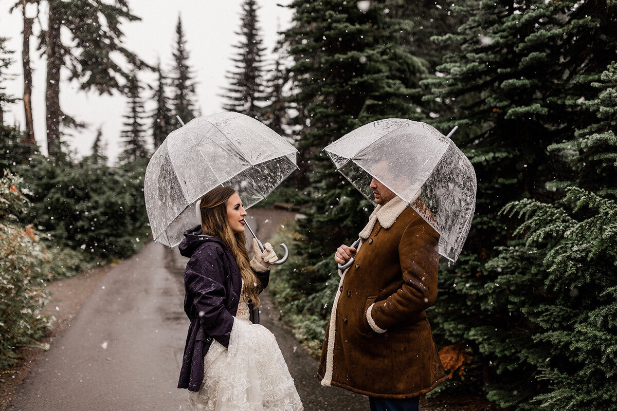 Rainy-Mount-Rainier-National-Park-Intimate-Wedding-76