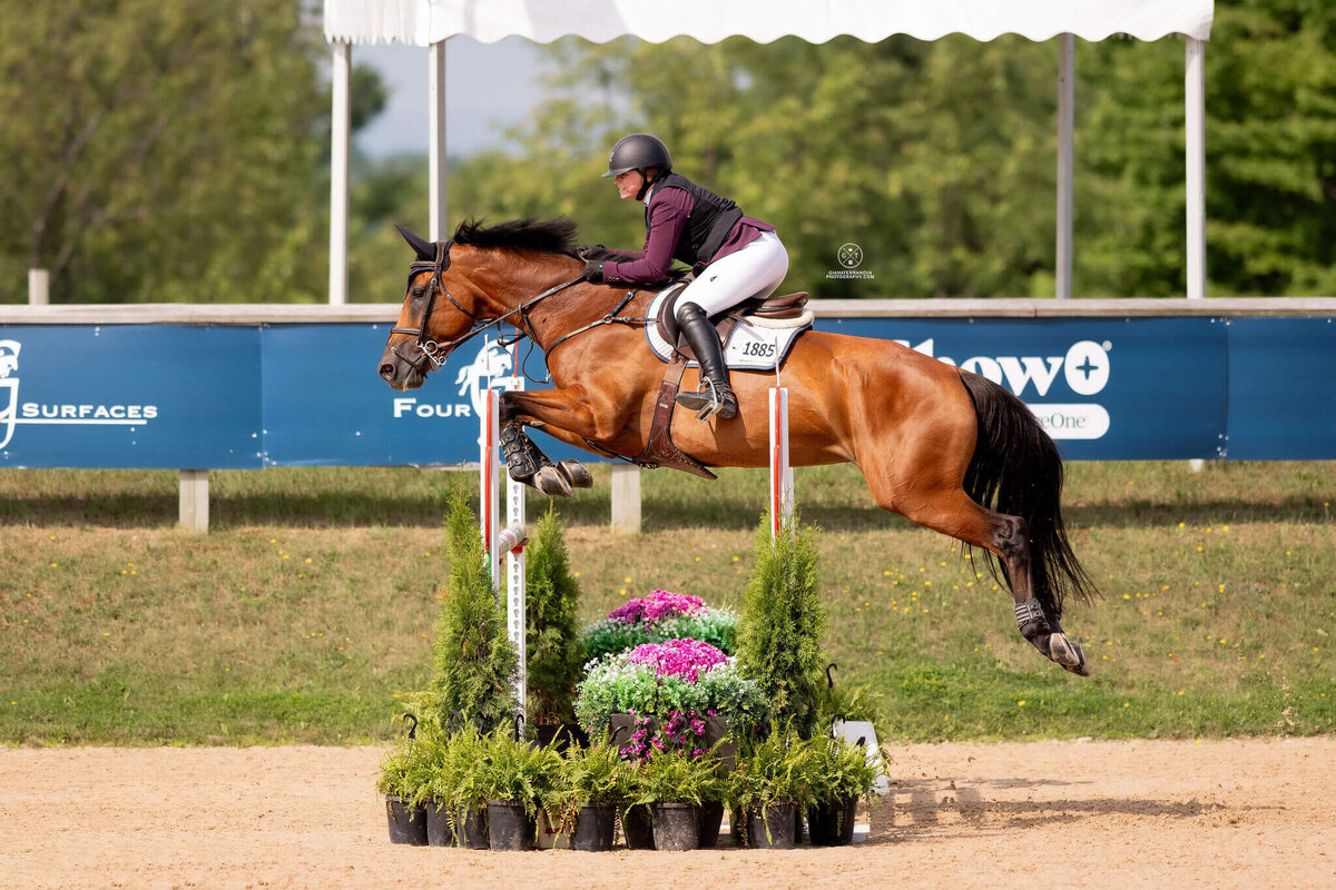 US EQUESTRIAN TEAM_BEST EQUESTRIAN RIDERS IN THE US_FLORIDA SHOWJUMPING(1)