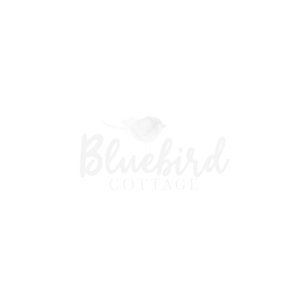 Studio-Four-10-Brand-and-Website-Design-Kelsey-Lenzmeier21