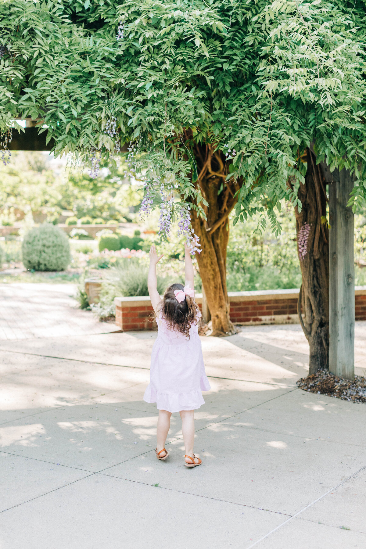 winston-salem-family-photographer-spring-minis-natalie-myers-photography287