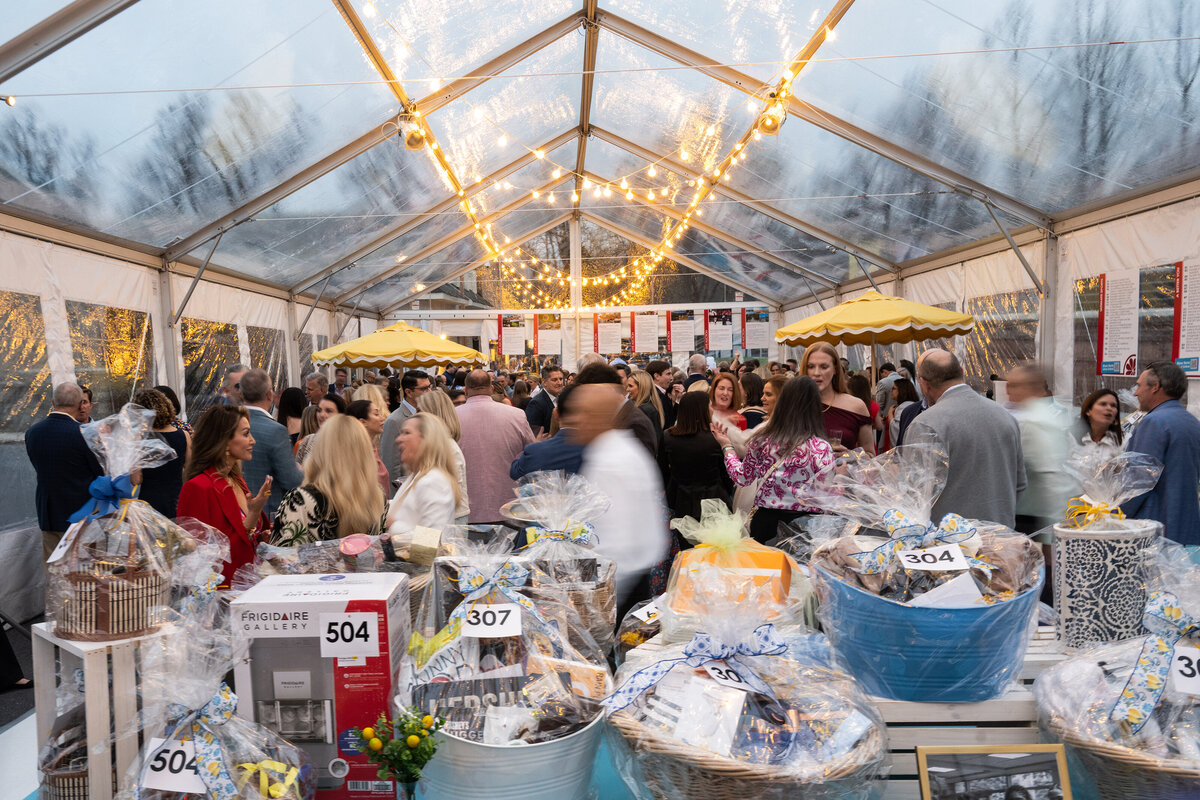 Northern_Virginia_Event_Photography_Linnea_Farnsworth_9