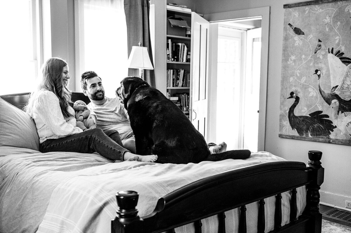 baby ellis portfolio08