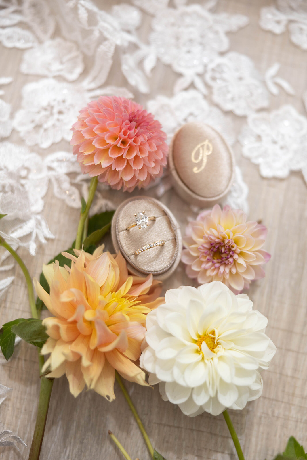 jackiesteele_websize (1)