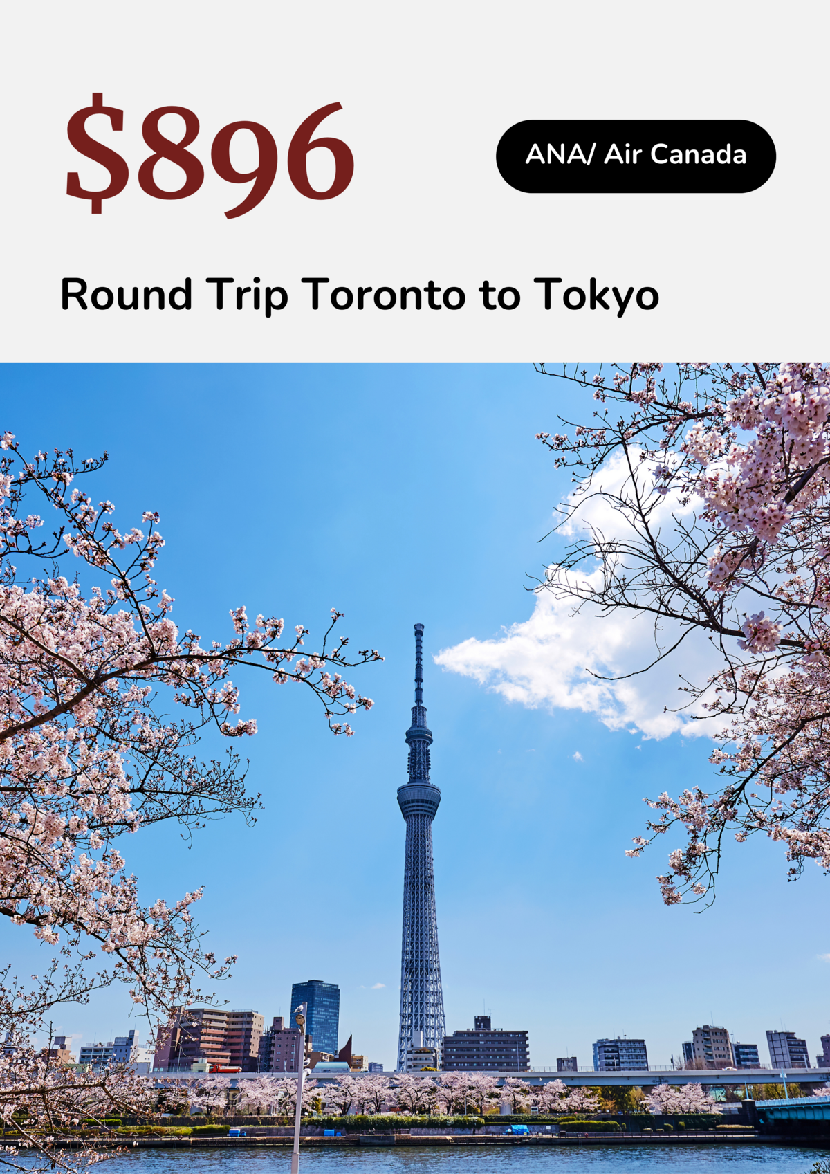 Canadian Jetsetter Deals (2)