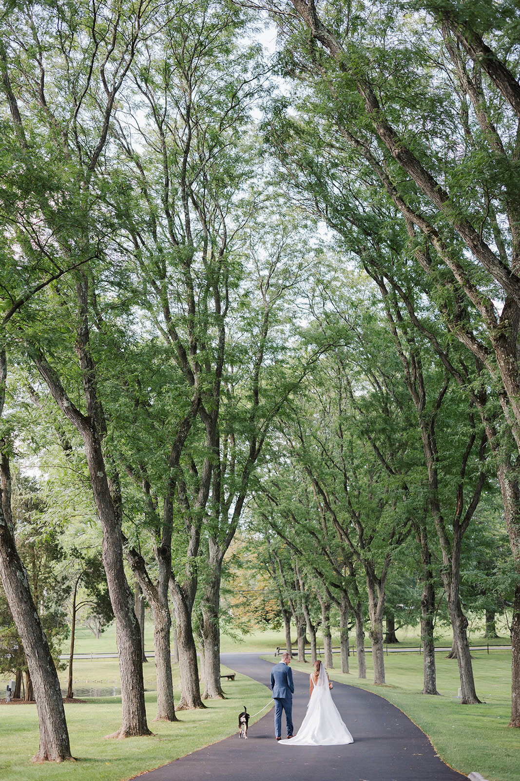 Lauren & Paul_s Sneak Peeks 30