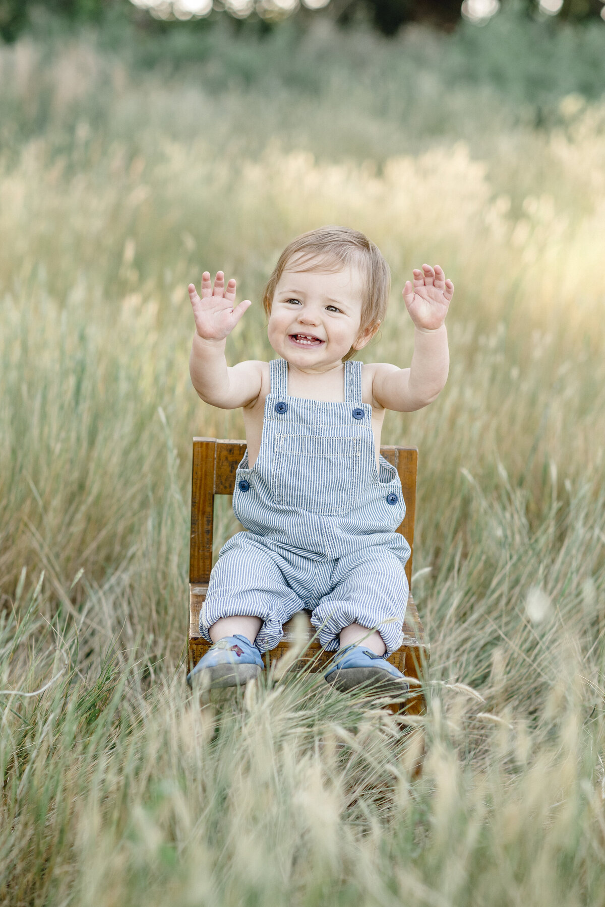 One year old boy in blue overalls on wooden chair in grass field