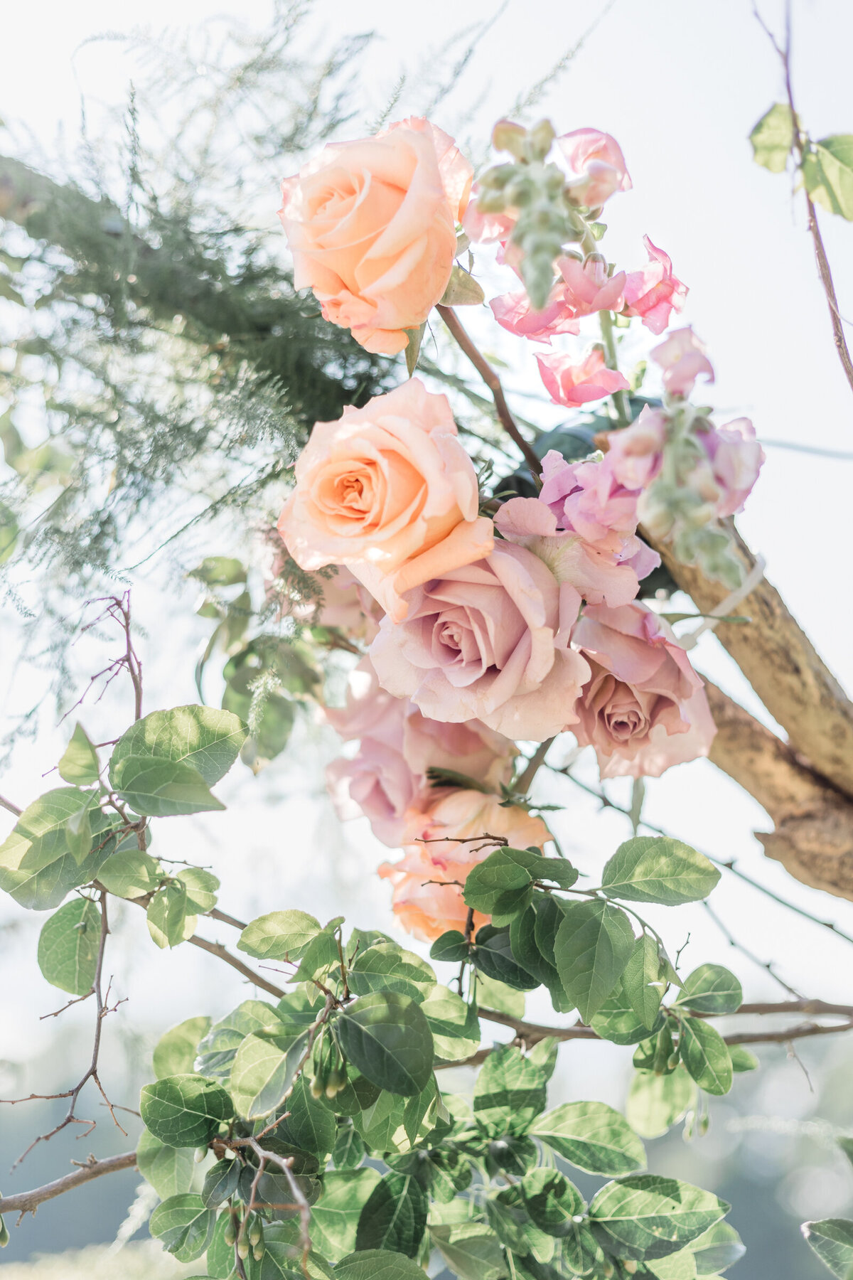A close up of roses on a ceremony arch