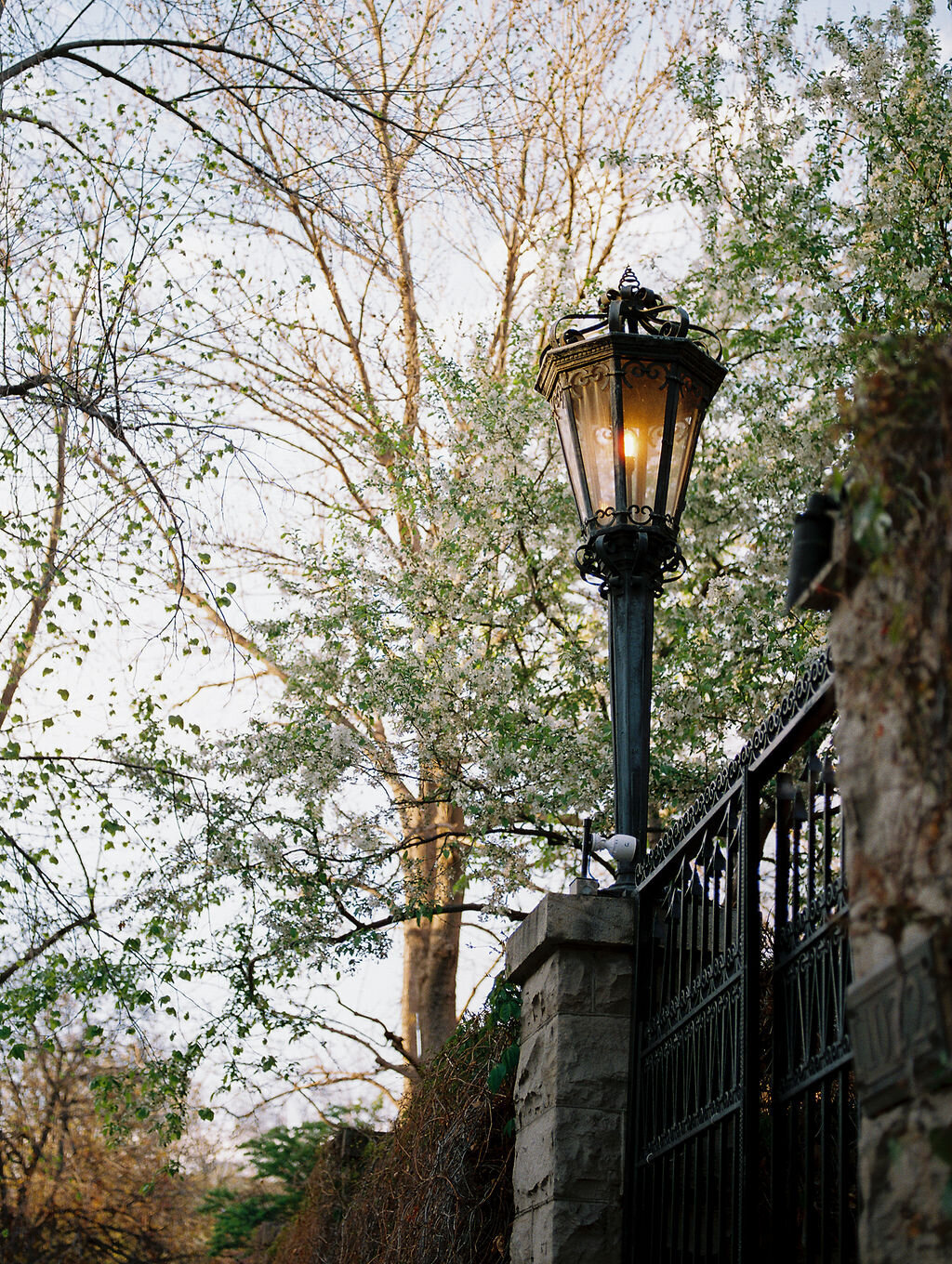 VintageInspired-DenverEngagementPhotos-AlisonBrookePhotography-94