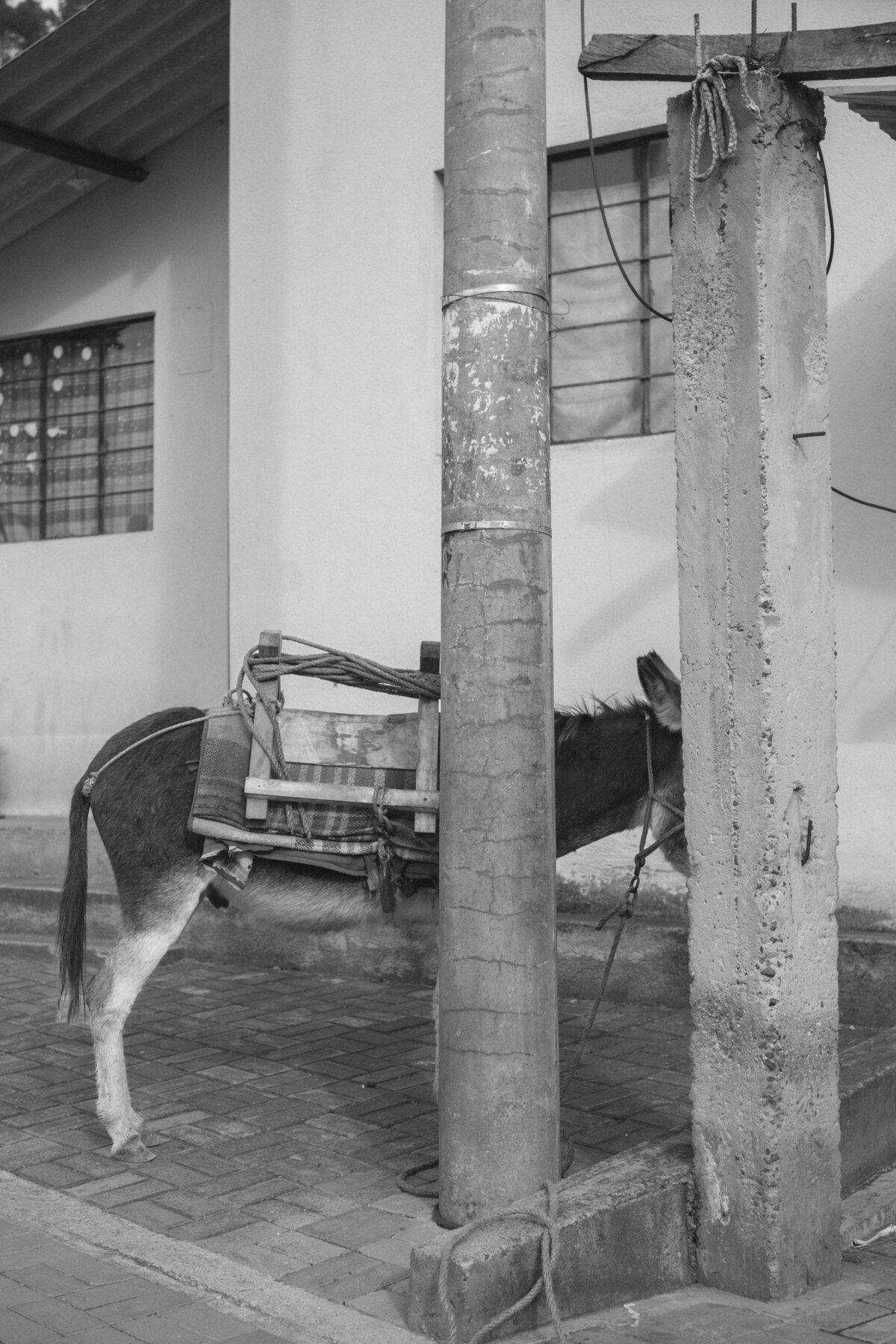 Ecuador_cilotoa-beach-8524