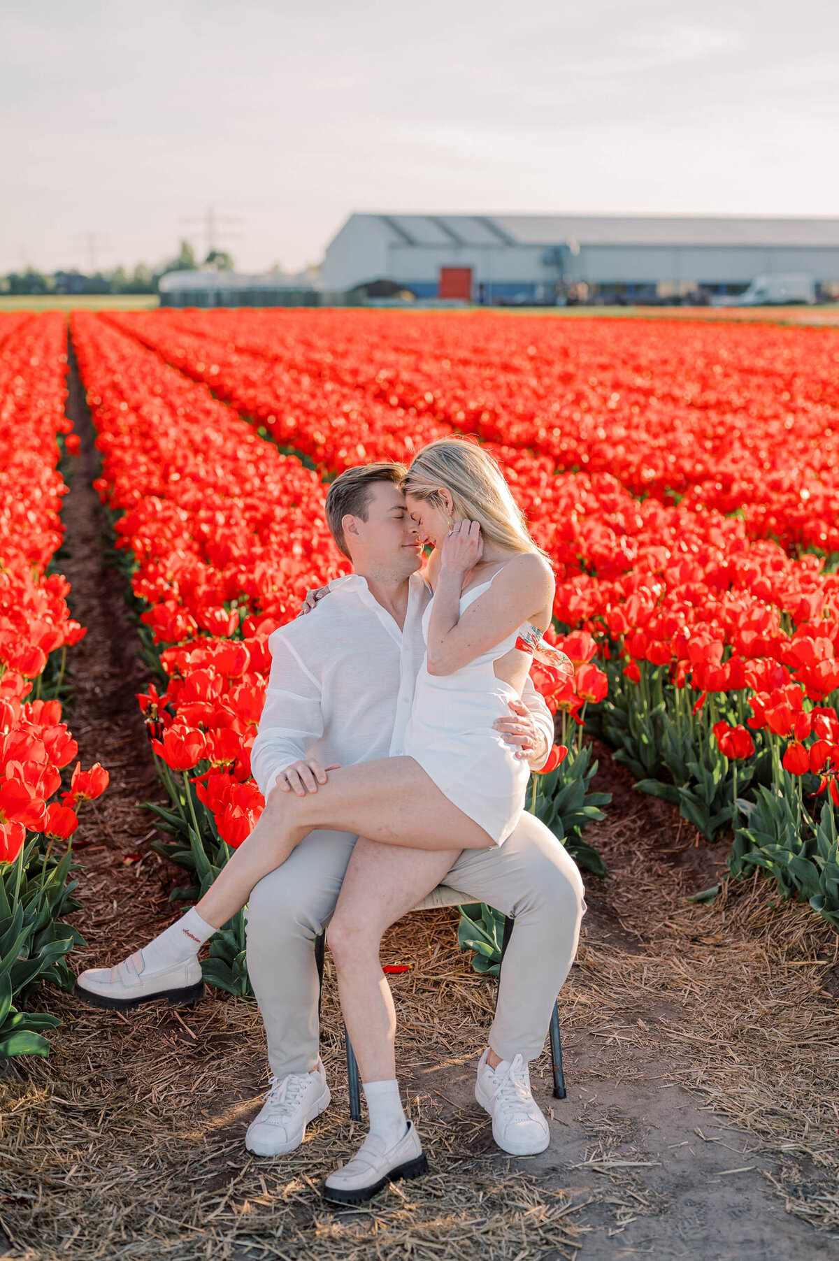 tulip-field-proposal-amsterdam-086