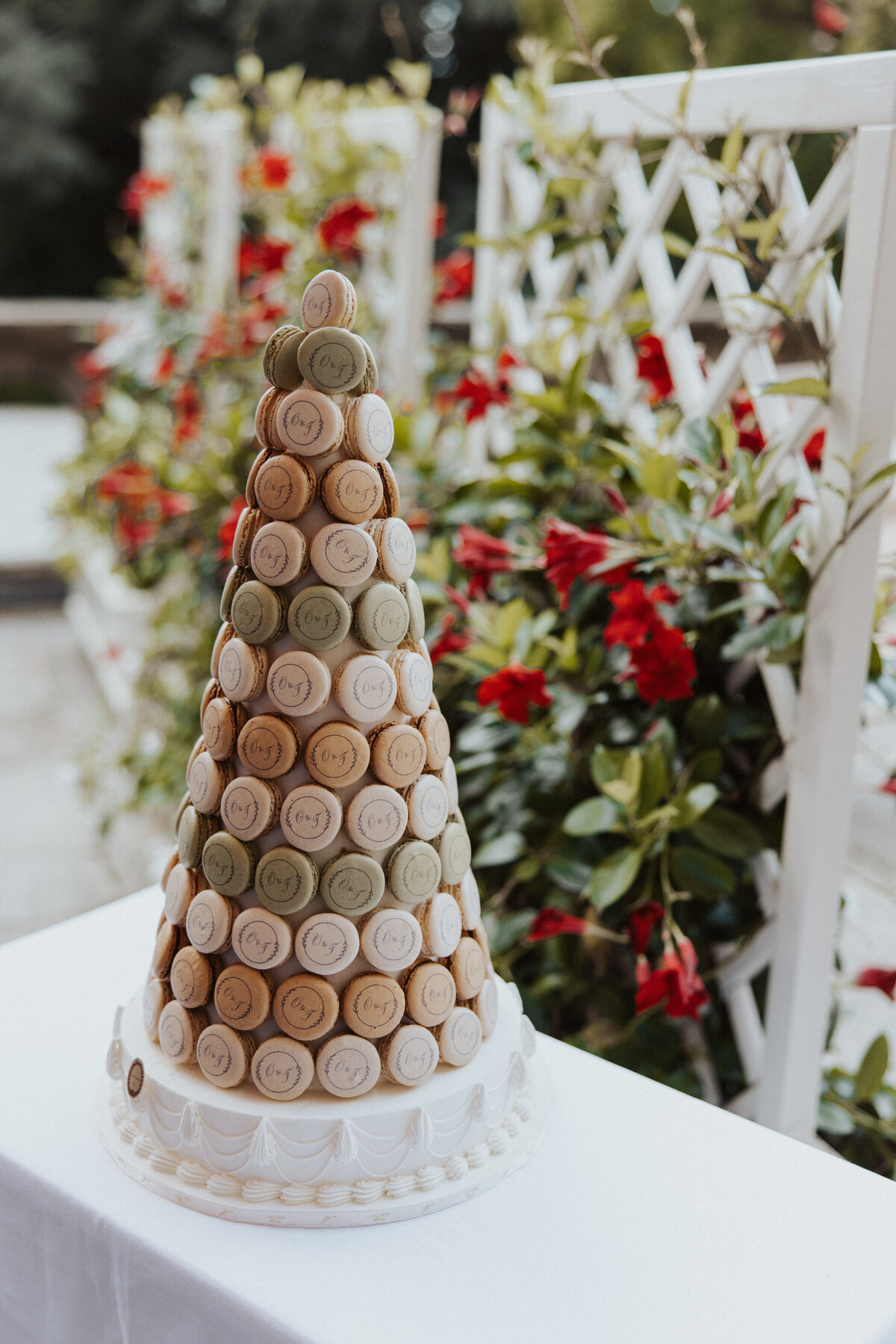 LizSchneiderPhoto-3839