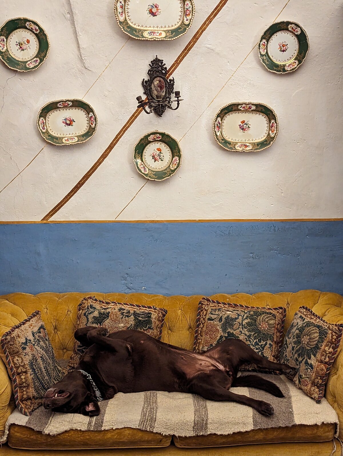 PXL_20231025_164806574