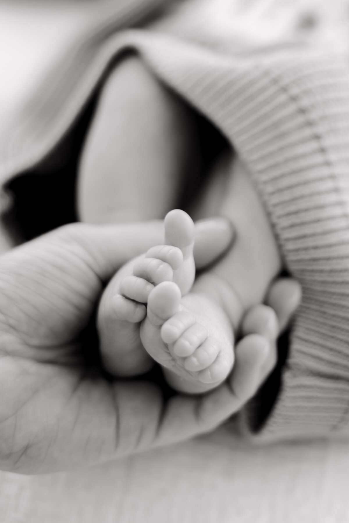 Hemans Newborn - Hudson-89